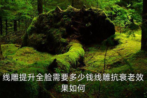 线雕提升全脸需要多少钱线雕抗衰老效果如何