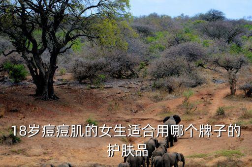 18岁左右用什么护肤品,30岁左右女性用什么护肤品比较好