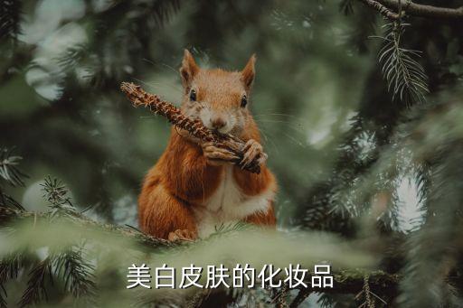 美白皮肤的化妆品