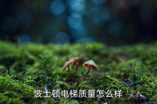波士顿电梯质量怎么样