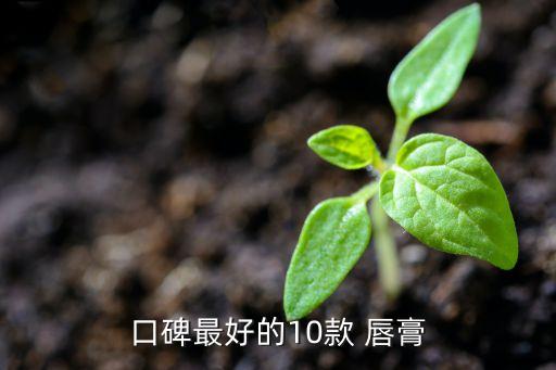 口碑最好的10款 唇膏