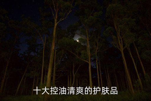 十大控油清爽的护肤品