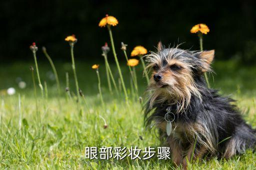 眼部彩妆步骤