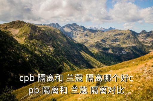 兰蔻新柔皙修颜隔离乳粉管怎么样