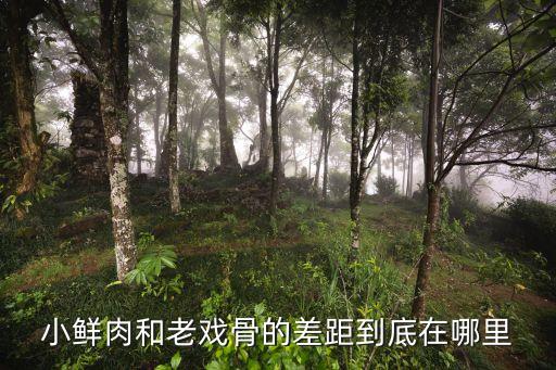 老戏骨影视培训怎么样,北京沙宣美发学校