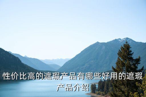 性价比高的遮瑕产品有哪些好用的遮瑕产品介绍