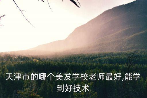 天津市的哪个美发学校老师最好,能学到好技术