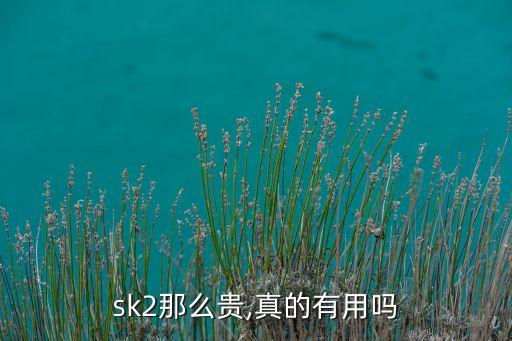 sk2那么贵,真的有用吗