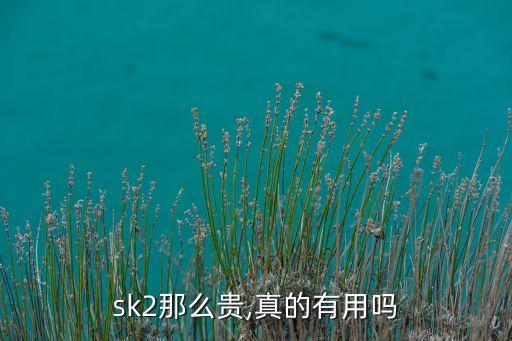 sk2那么贵,真的有用吗