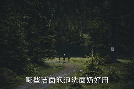哪些洁面泡泡洗面奶好用