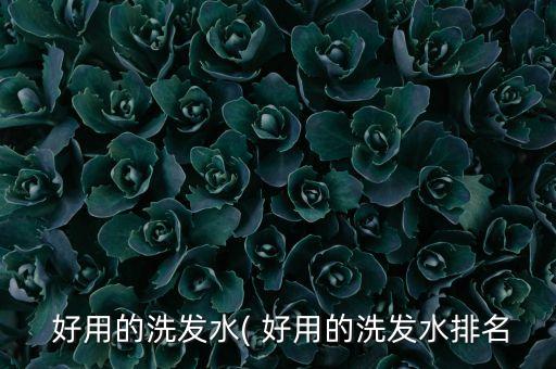  好用的洗发水( 好用的洗发水排名