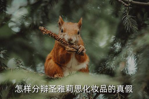 怎样分辩圣雅莉思化妆品的真假