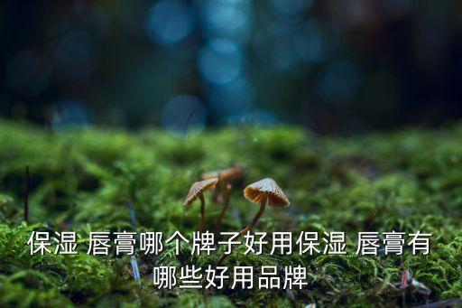 哪个牌子的唇膏最好,唇膏哪个牌子最好用排行榜前十名