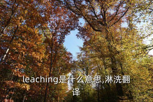 cleanser是什么意思,foam cleanser是什么意思中文