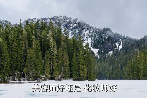 美容和学化妆哪个好,美容跟化妆哪个更难学