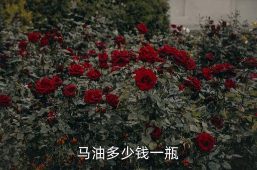 马油多少钱一瓶