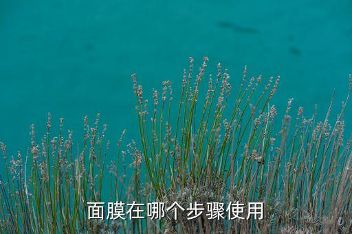 面膜在哪个步骤使用