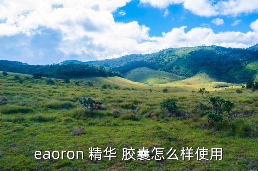 eaoron 精华 胶囊怎么样使用