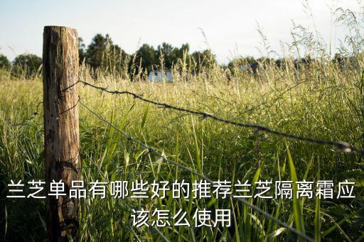 兰芝单品有哪些好的推荐兰芝隔离霜应该怎么使用