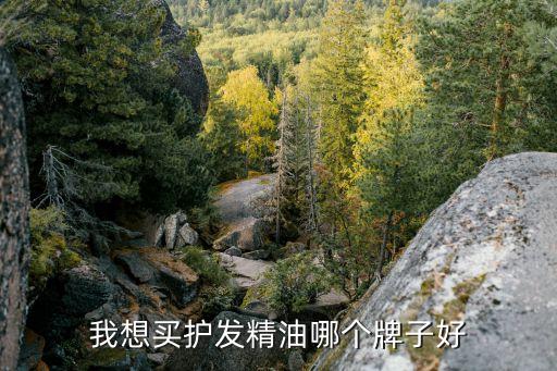 我想买护发精油哪个牌子好