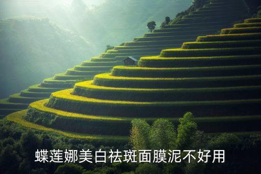 蝶莲娜美白祛斑面膜泥不好用