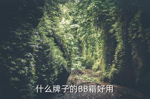 臻润防晒气垫霜怎么样