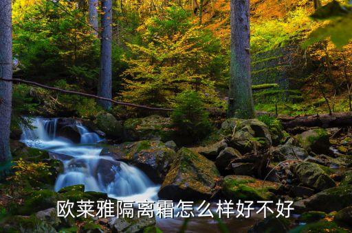 欧莱雅bb爽怎么样,上海赢尚生物科技有限公司