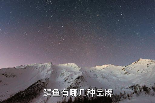  鳄鱼有哪几种品牌