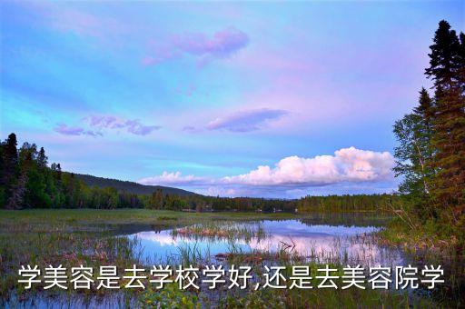学美容是去学校学好,还是去美容院学