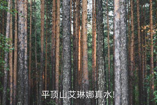 平顶山艾琳娜真水!