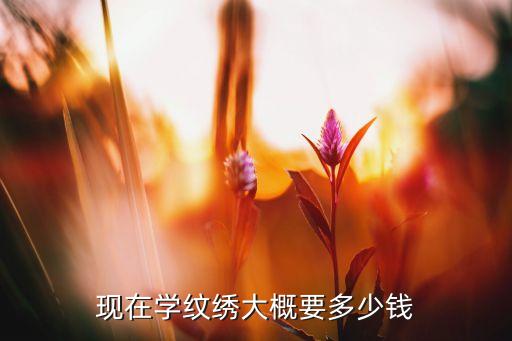 现在学纹绣大概要多少钱