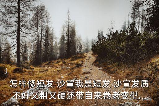 怎样修短发 沙宣我是短发 沙宣发质不好又粗又硬还带自来卷老变型...