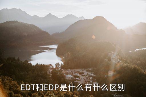 EDT和EDP是什么有什么区别