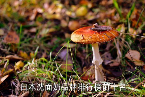 茵芙莎有多少洗面奶,ipsa茵芙莎水润美白去角质洗面奶好用吗?