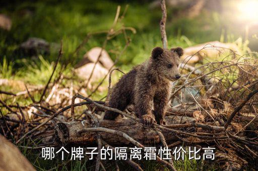 哪个牌子的隔离霜性价比高