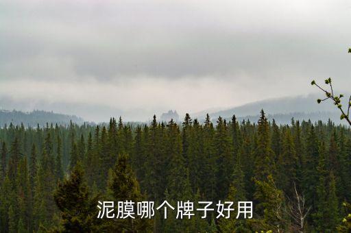 泥膜哪个牌子好用