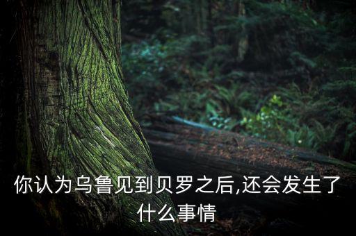 你认为乌鲁见到贝罗之后,还会发生了什么事情