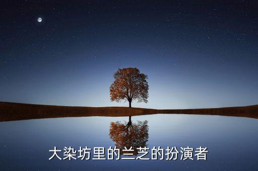 大染坊里的兰芝的扮演者