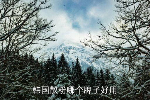 韩国散粉哪个牌子好用