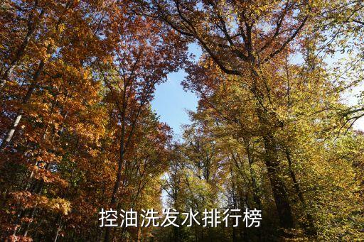 控油洗发水排行榜