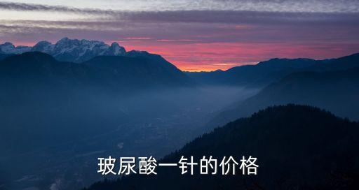 玻尿酸一针的价格