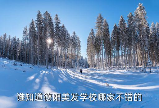 谁知道德阳美发学校哪家不错的