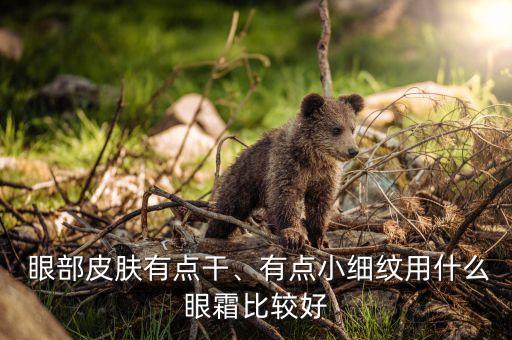  眼部皮肤有点干、有点小细纹用什么眼霜比较好