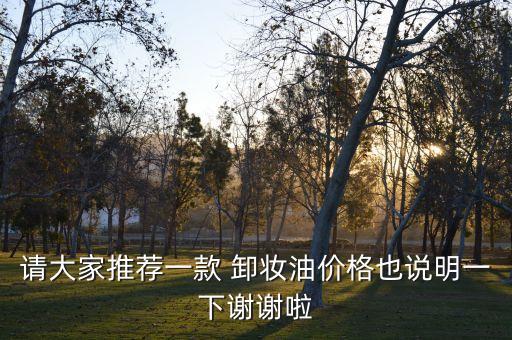 请大家推荐一款 卸妆油价格也说明一下谢谢啦