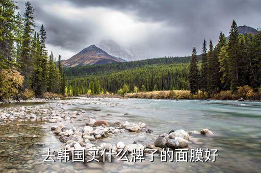去韩国买什么牌子的面膜好