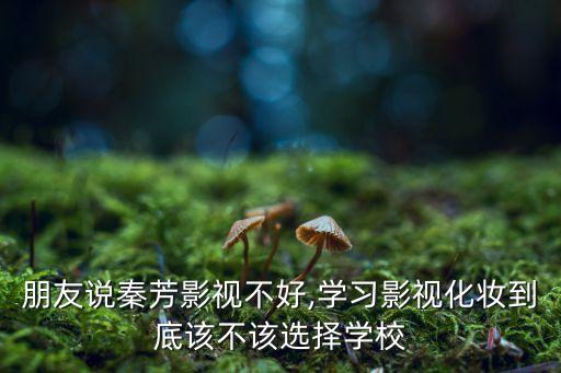 朋友说秦芳影视不好,学习影视化妆到底该不该选择学校