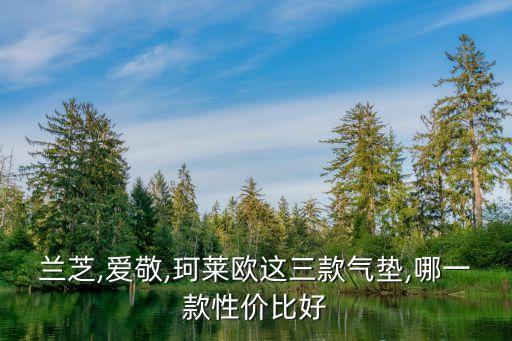 兰芝,爱敬,珂莱欧这三款气垫,哪一款性价比好