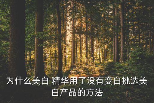 欧泊莱淡斑精华多少钱