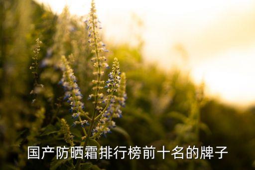 国产防晒霜排行榜前十名的牌子