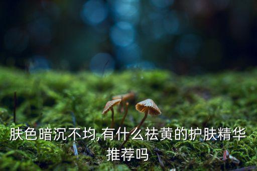 肤色暗沉不均,有什么祛黄的护肤精华推荐吗